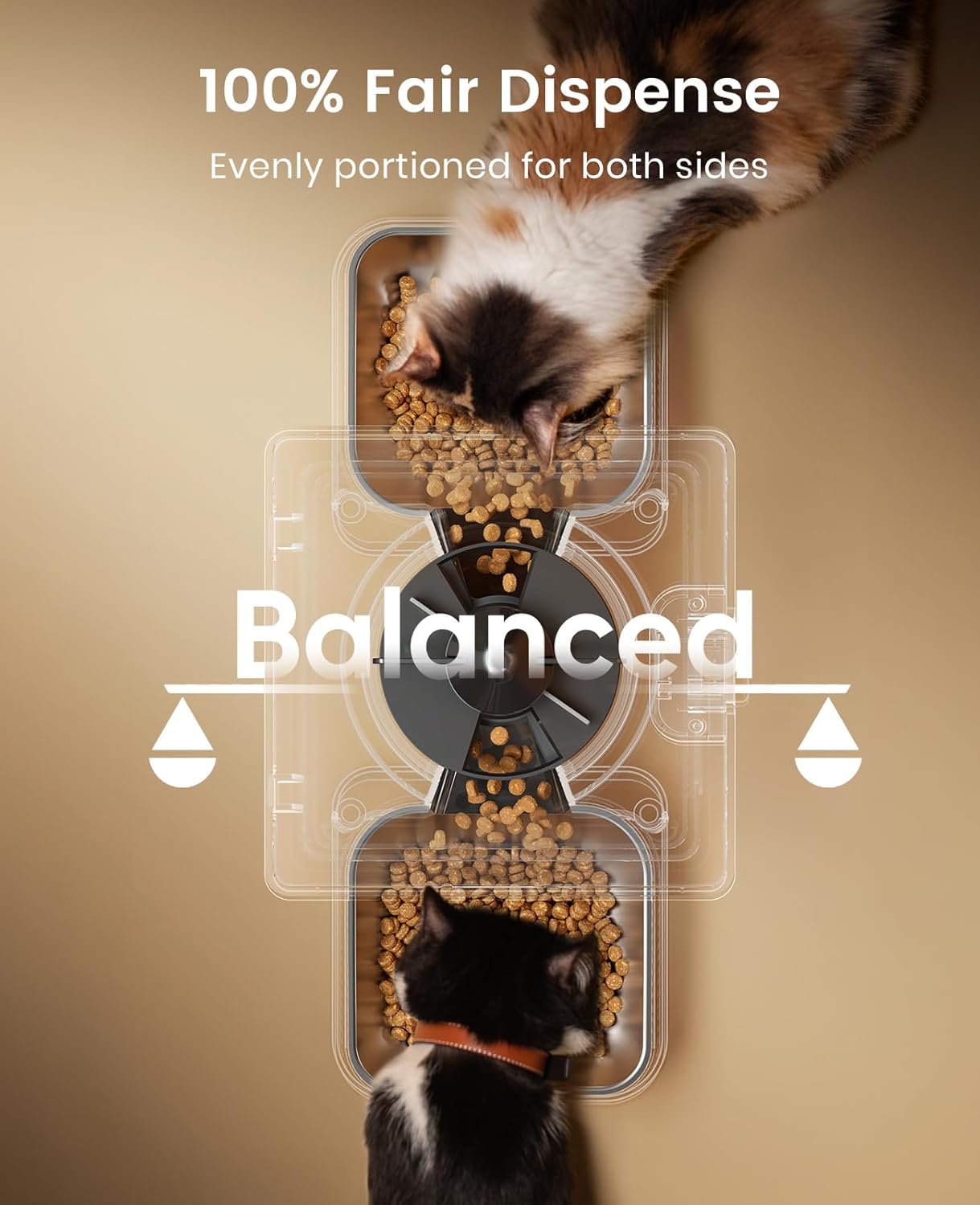 Buy oneisall - Automatic Cat Feeder for Dry Food at Pet Servo