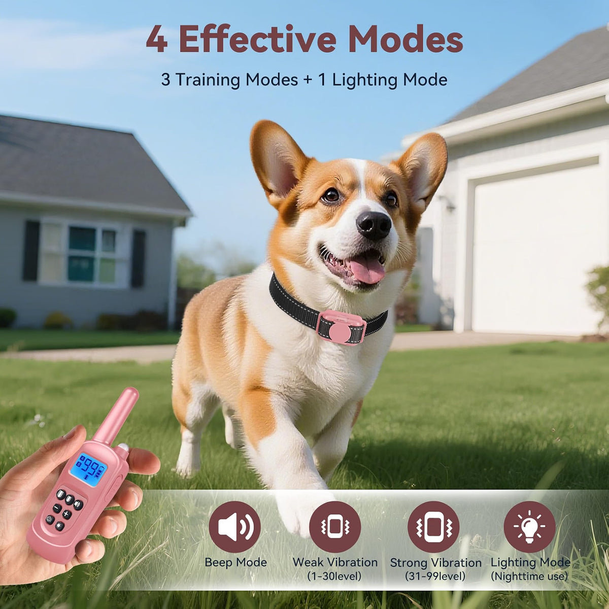 Dog wearing a pink collar with a remote control in front of a house, featuring 4 effective modes.
