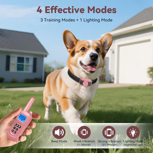 Dog wearing a pink collar with a remote control in front of a house, featuring 4 effective modes.