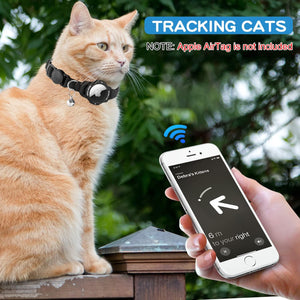 Cat wearing a tracking collar with a smartphone app displayed, outdoors at Pet Servo