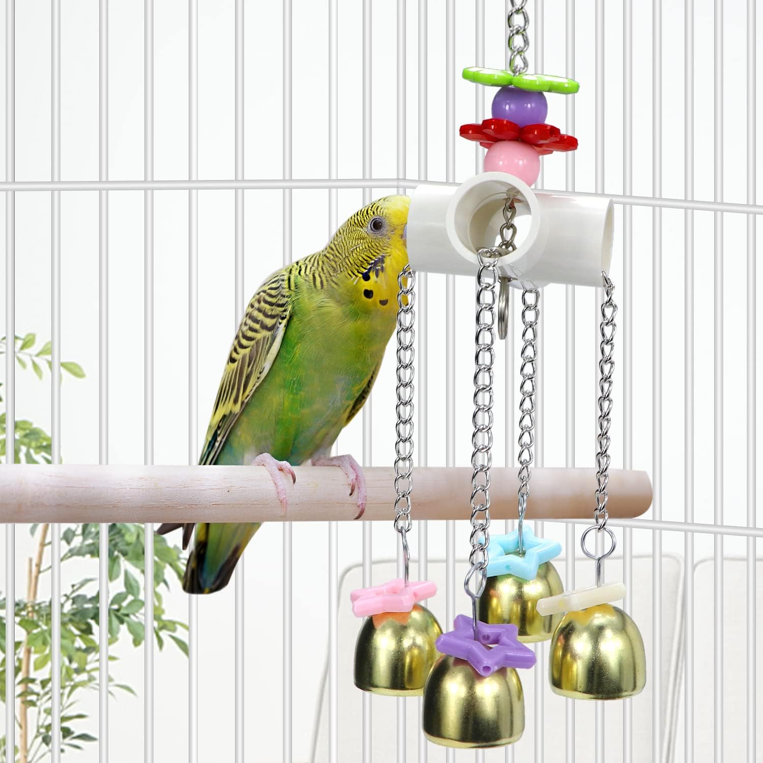 Bird perched on a branch with a colorful bird toy in a cage at Pet Servo