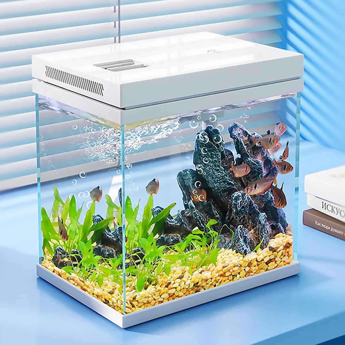 Craftsboys - Fish Tank with Filter & LED Light - Pet Servo