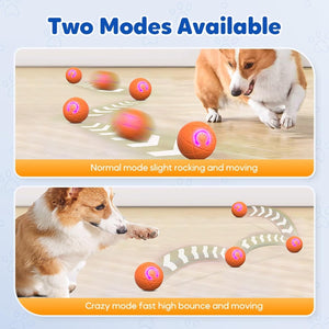 Two modes of a dog toy with a dog interacting with it on a light background at Pet Servo