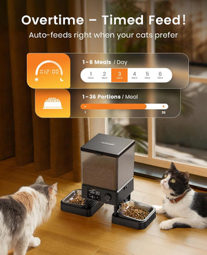 Buy oneisall - Automatic Cat Feeder for Dry Food at Pet Servo