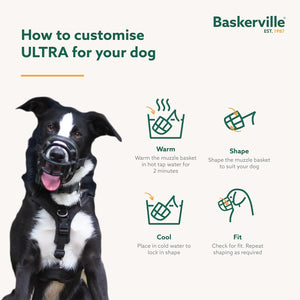 Dog wearing a muzzle with Baskerville branding and instructions on how to customize it.