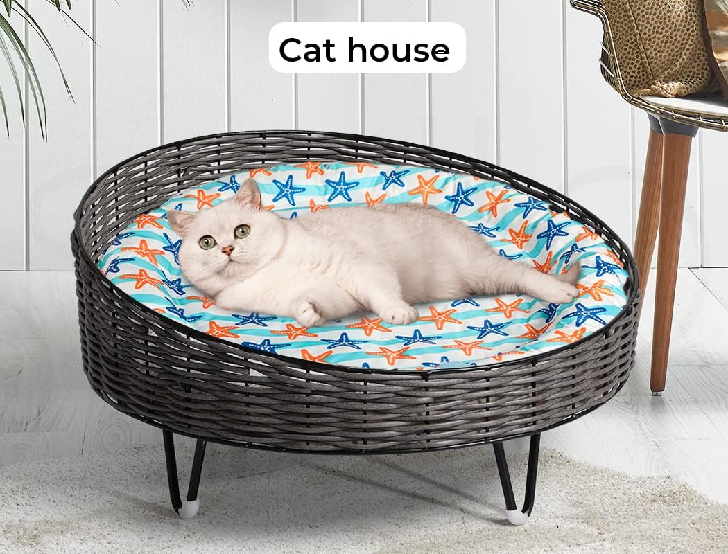 A white cat lies inside a round woven pet bed with a blue, orange, and white starfish-patterned cushion. The bed has a dark gray wicker frame and small black legs, set against a white paneled wall with a chair partially visible on the right at Pet Servo