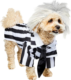 Dog wearing a black and white striped outfit with a wig on a white background at Pet Servo