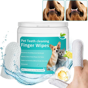Pet teeth cleaning finger wipes with a container and examples of use on a dog's mouth at Pet Servo