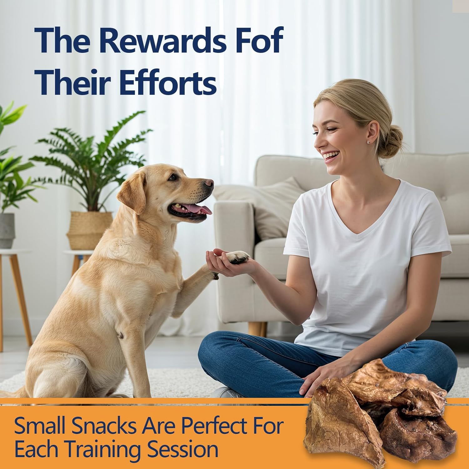 Woman training a dog with treats in a living room setting at Pet Servo