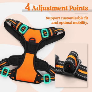 Rabbitgoo - Outdoor Adjustable Pet Harness (Orange) at Pet Servo