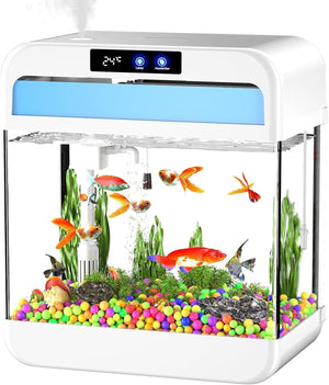 Small aquarium with colorful fish and plants on a white background at PetServo