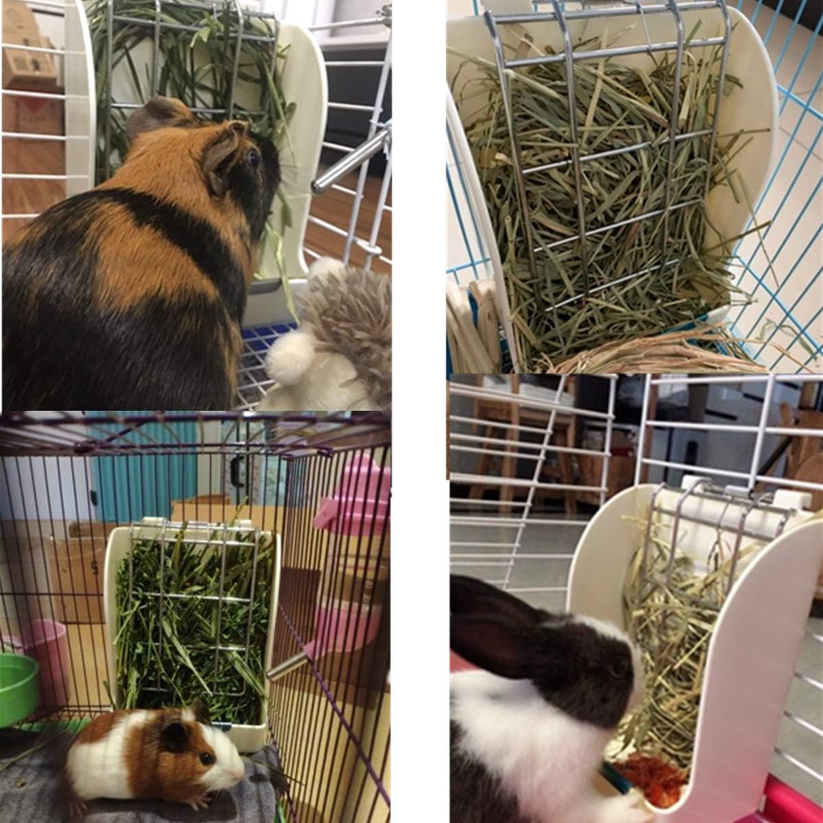 Collage of a guinea pig and rabbit in their cages with hay and plants at Pet Servo