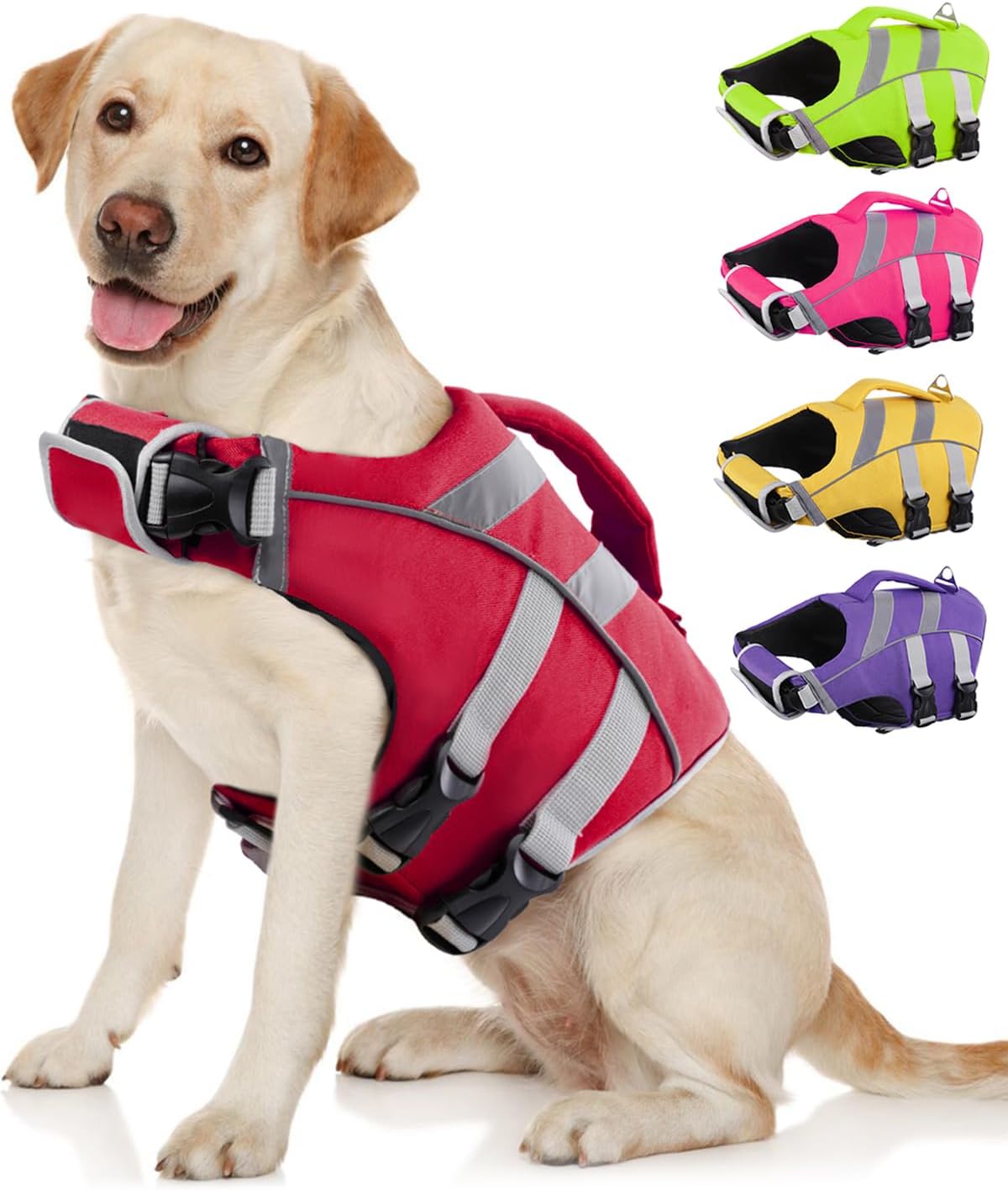 Dog wearing a red life jacket with additional life jackets in different colors displayed above at Pet Servo