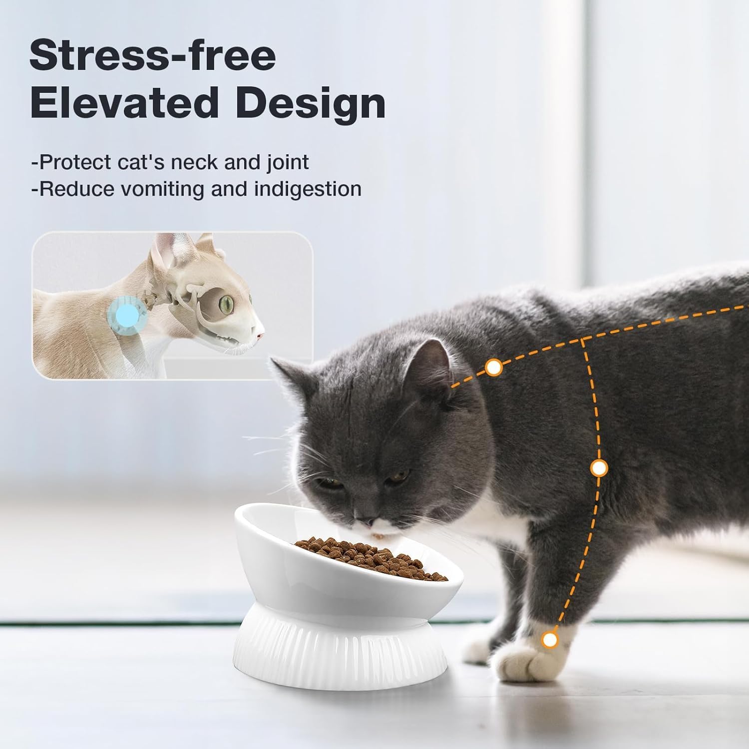 Cat eating from a elevated bowl with text about stress-free design and health benefits at Pet Servo
