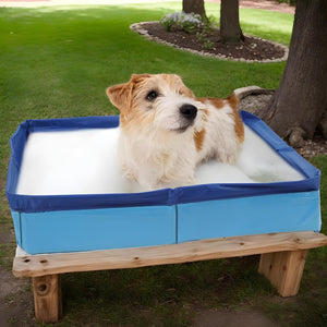 Dog sitting in a blue inflatable pool on a wooden platform outdoors at Pet Servo