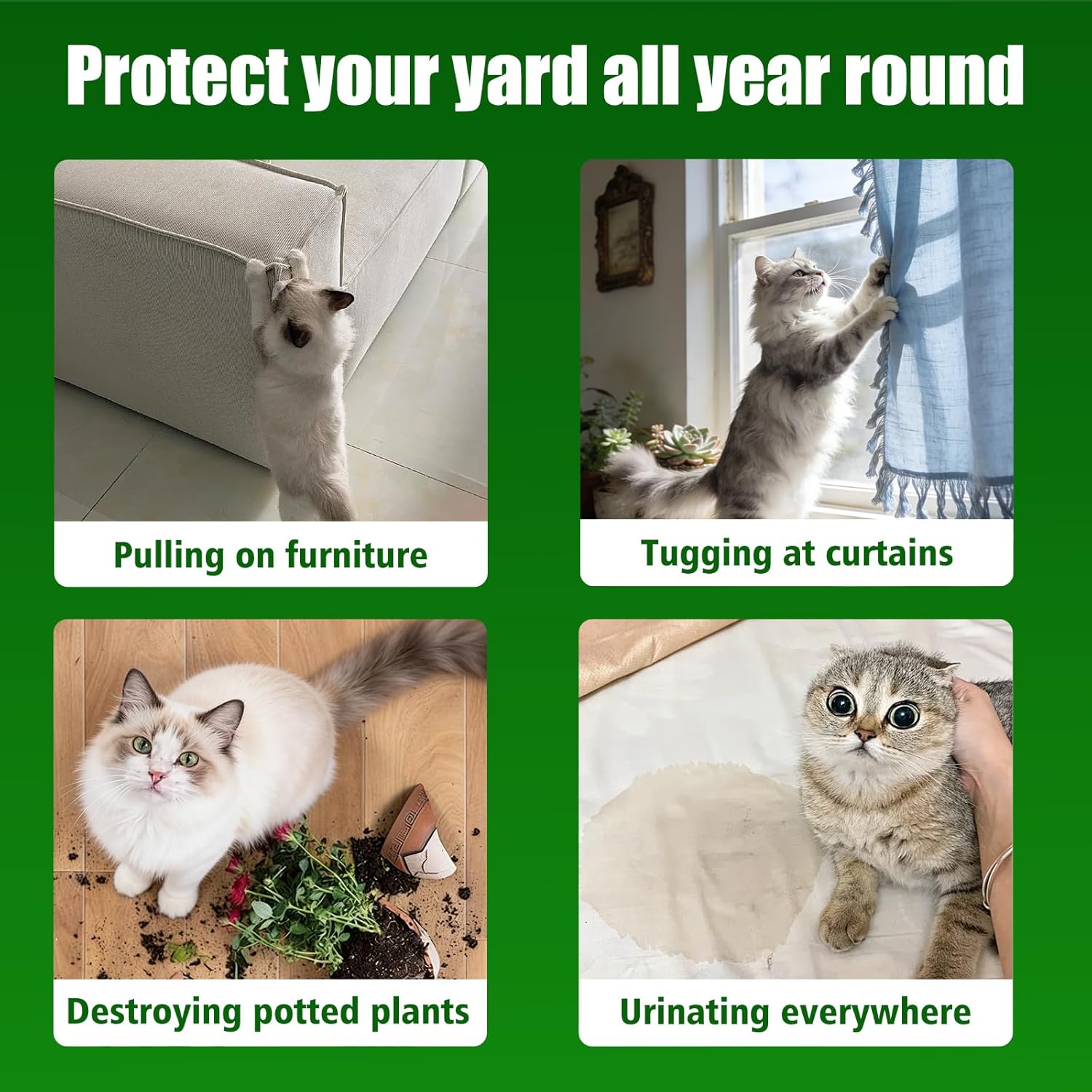 Collage of a cat causing various household problems with text on a green background at Pet Servo