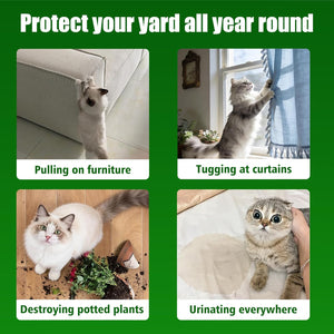 Collage of a cat causing various household problems with text on a green background at Pet Servo