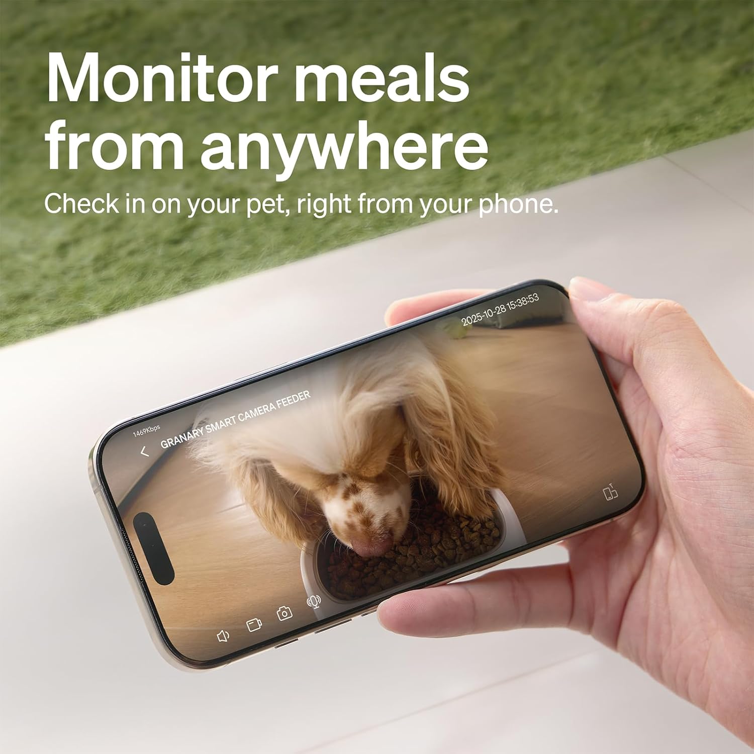 Hand holding a smartphone displaying a dog eating from a bowl, with text 'Monitor meals from anywhere'.