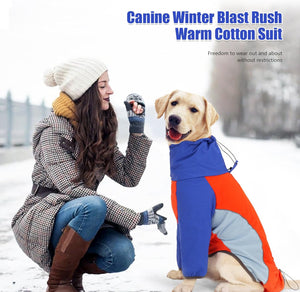 ODSSDAPU - Red + Blue Waterproof Dog Jacket - Petservo