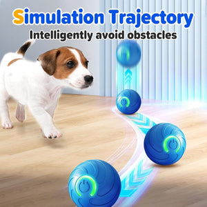 Dog playing with a toy that simulates a trajectory, avoiding obstacles on a wooden floor at Pet Servo