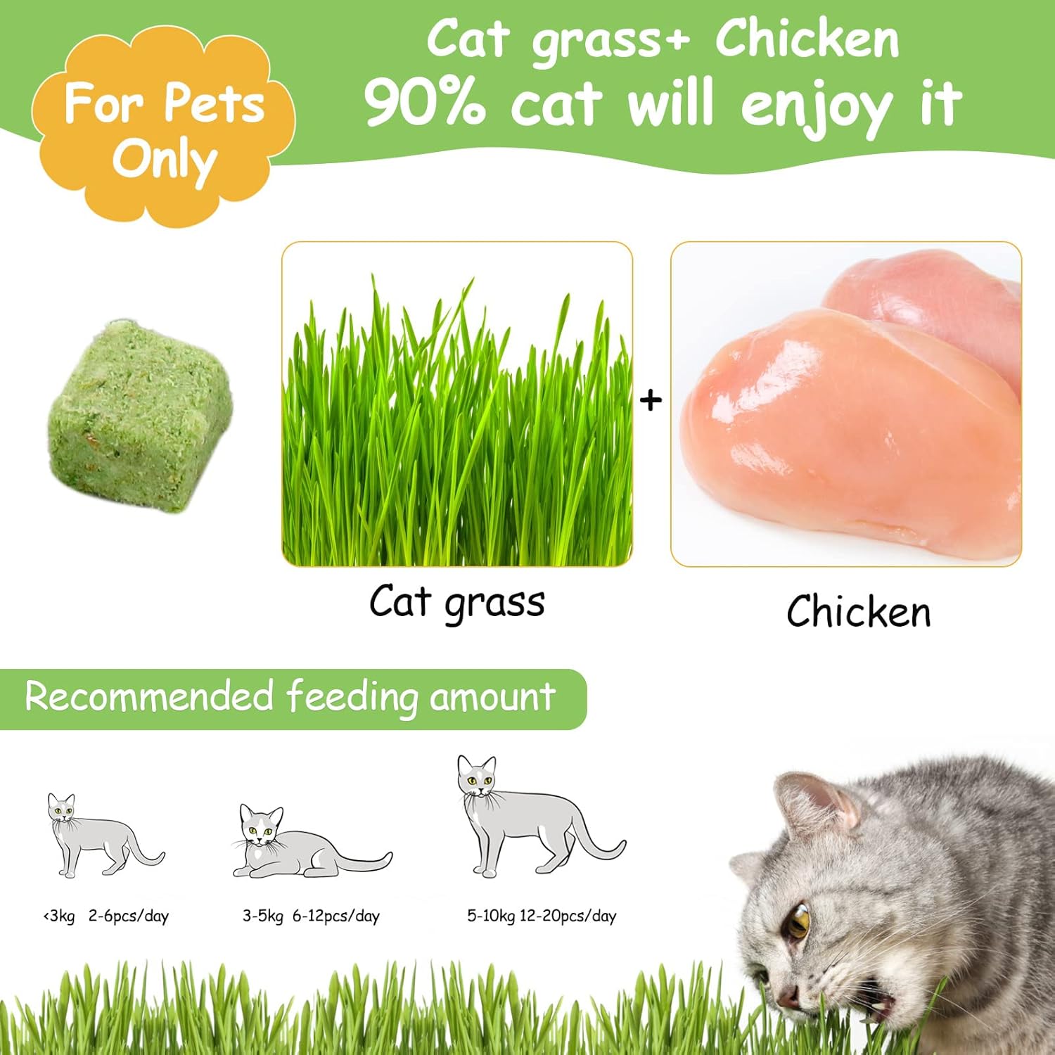 Cat grass and chicken mix for pets with recommended feeding amounts and a cat eating grass at Pet Servo