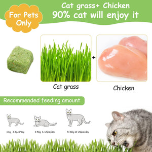 Cat grass and chicken mix for pets with recommended feeding amounts and a cat eating grass at Pet Servo