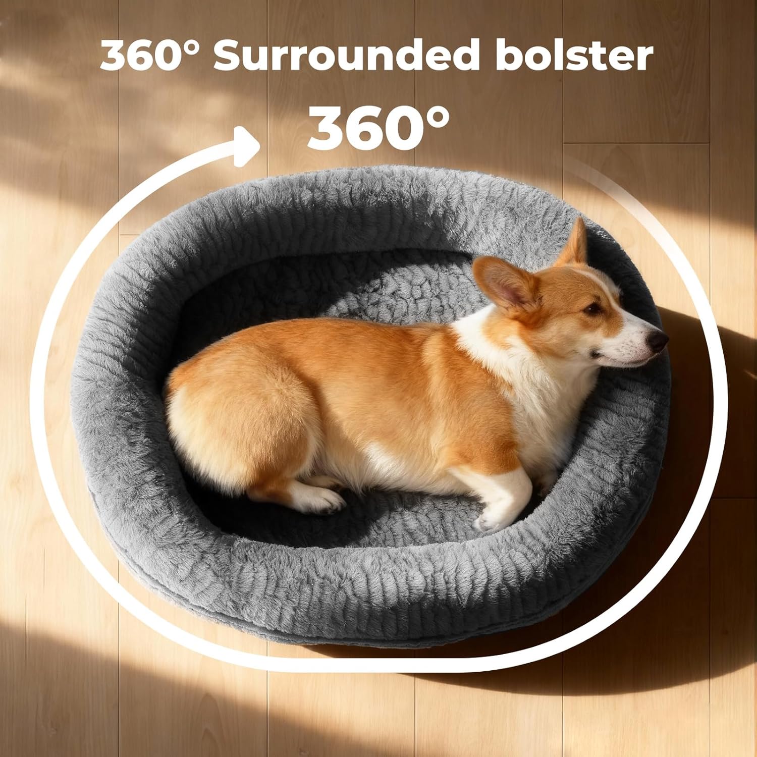 Dog lying on a gray 360-degree surrounded bolster bed on a wooden floor at Pet Servo