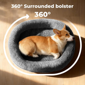 Dog lying on a gray 360-degree surrounded bolster bed on a wooden floor at Pet Servo