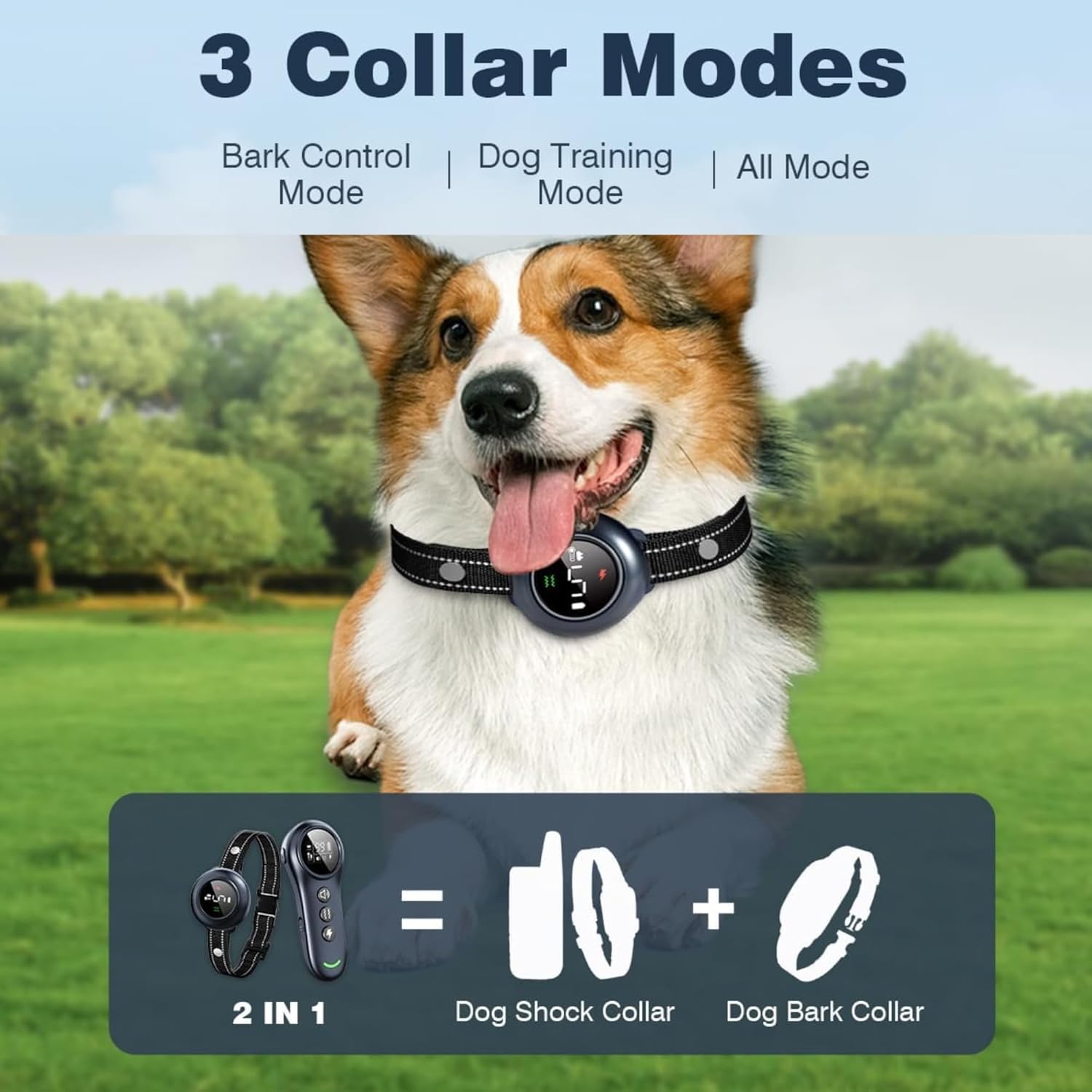 Dog wearing a 2-in-1 dog shock collar with outdoor background at Pet Servo