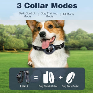 Dog wearing a 2-in-1 dog shock collar with outdoor background at Pet Servo
