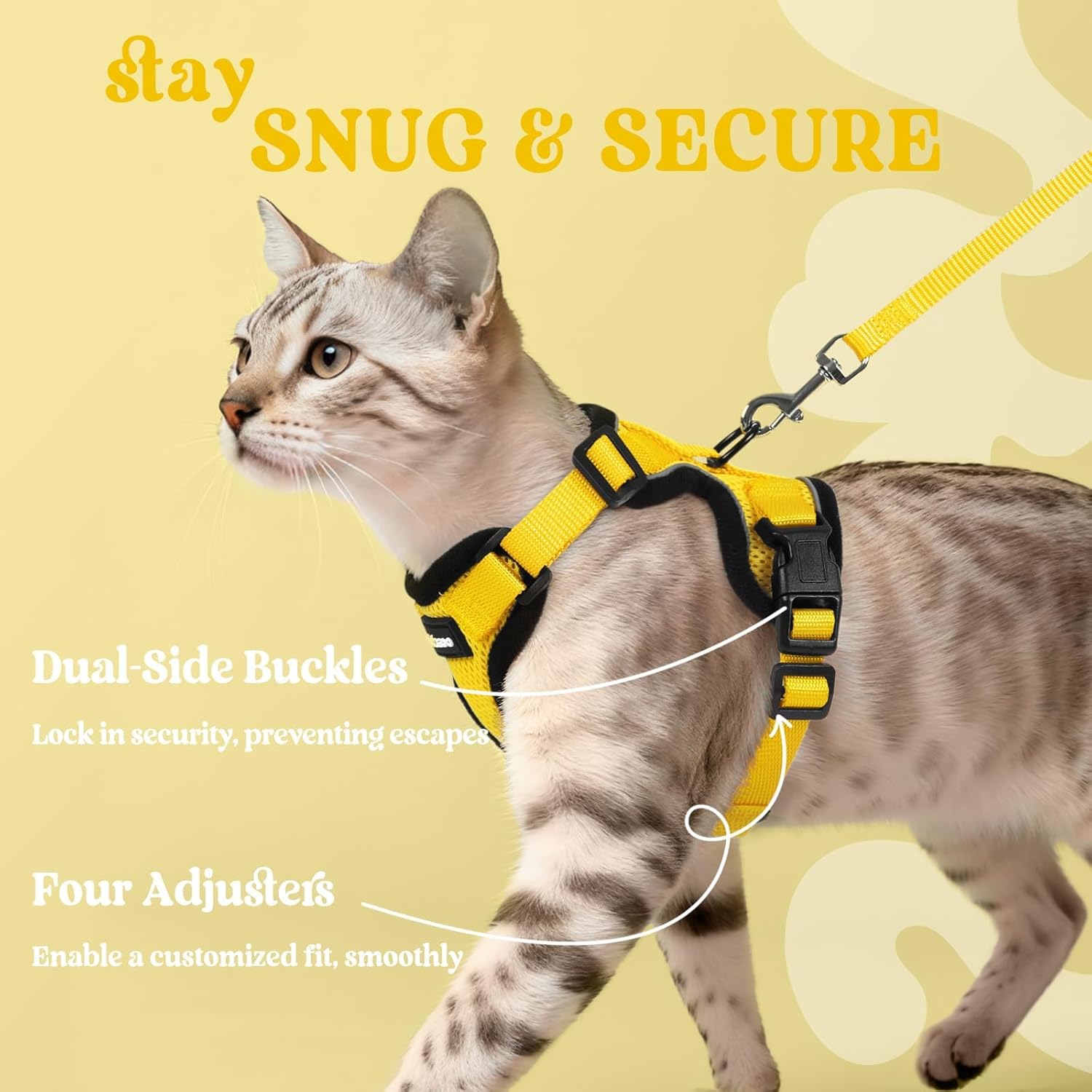 Cat wearing a yellow harness with text on a yellow background at Pet Servo