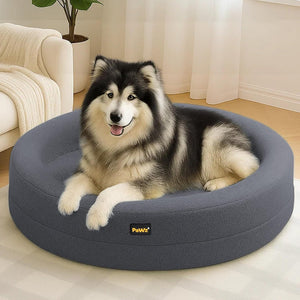 Buy Pawz Orthopedic Donut Dog Bed with Memory Foam at Petservo