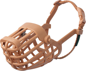 Dog muzzle with a beige color on a white background