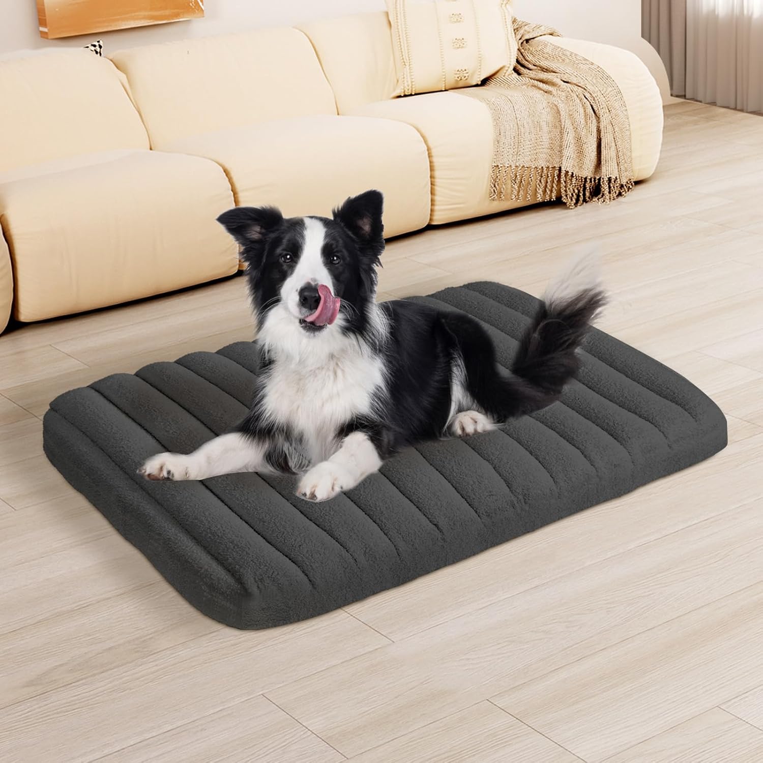 Dog lying on a gray inflatable pet bed in a living room at Pet Servo
