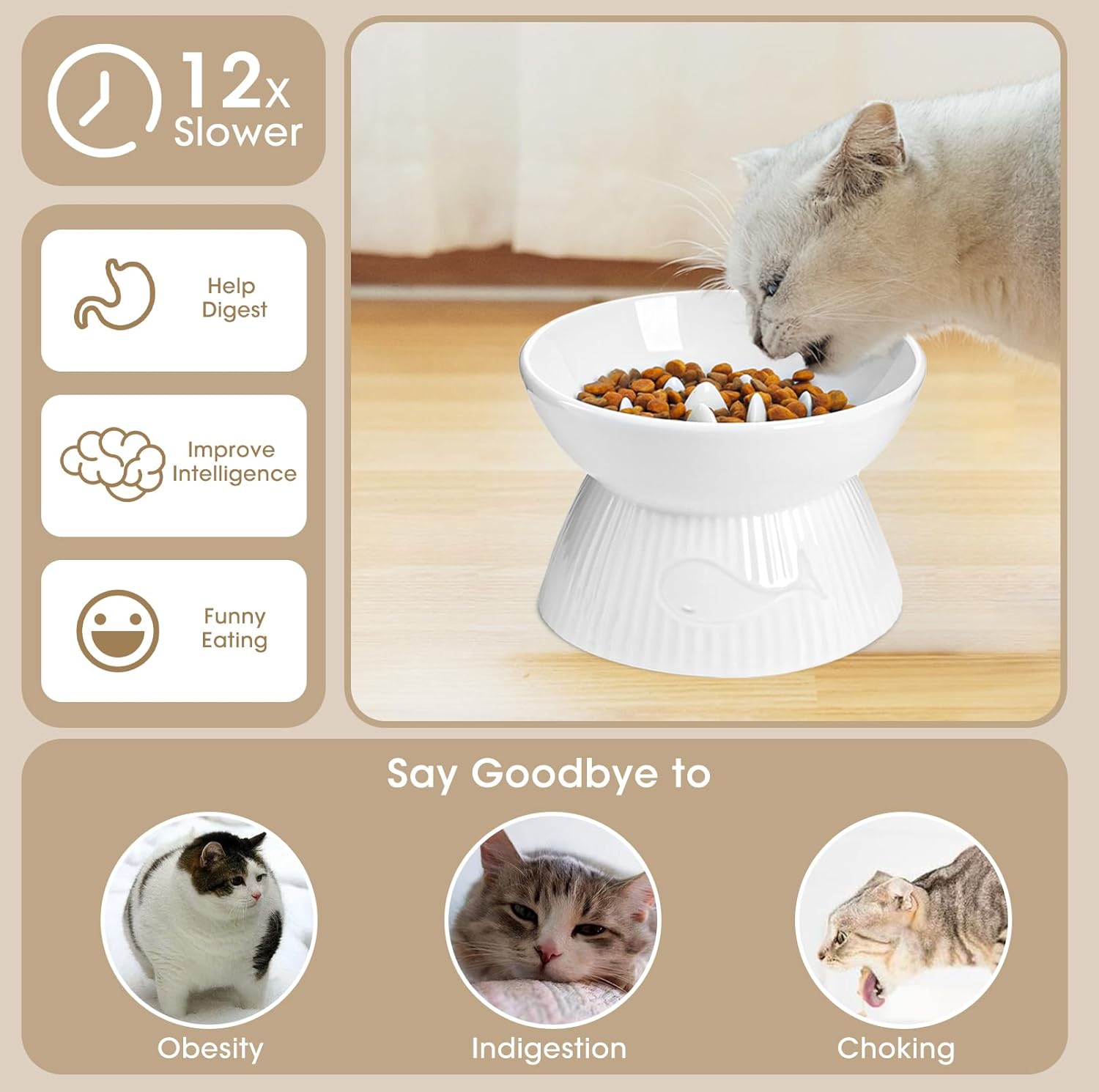 Cat eating from a white bowl with health benefits displayed on a beige background at Pet Servo