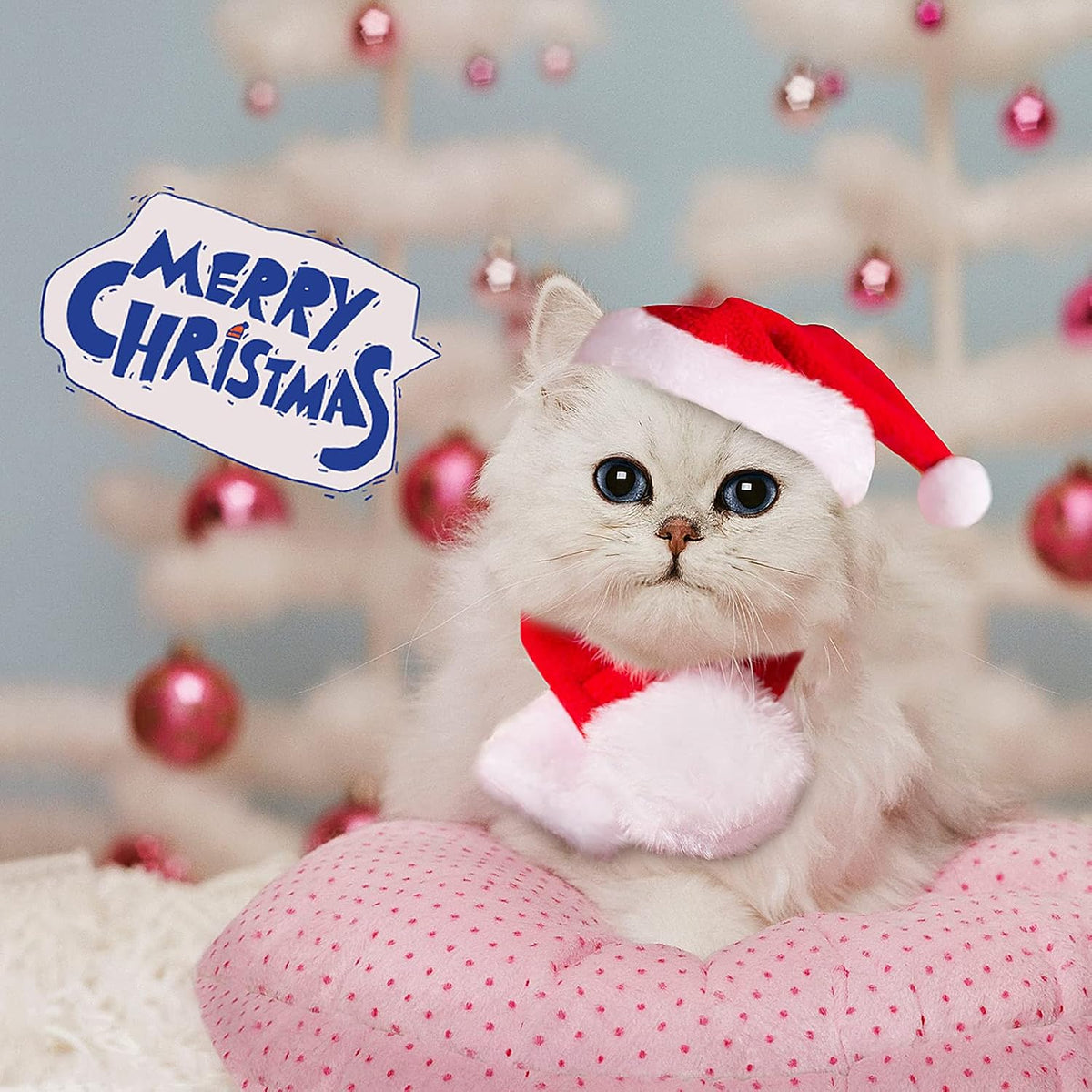 Cat wearing a Santa hat with 'Merry Christmas' text and Christmas tree decorations in the background at Pet Servo