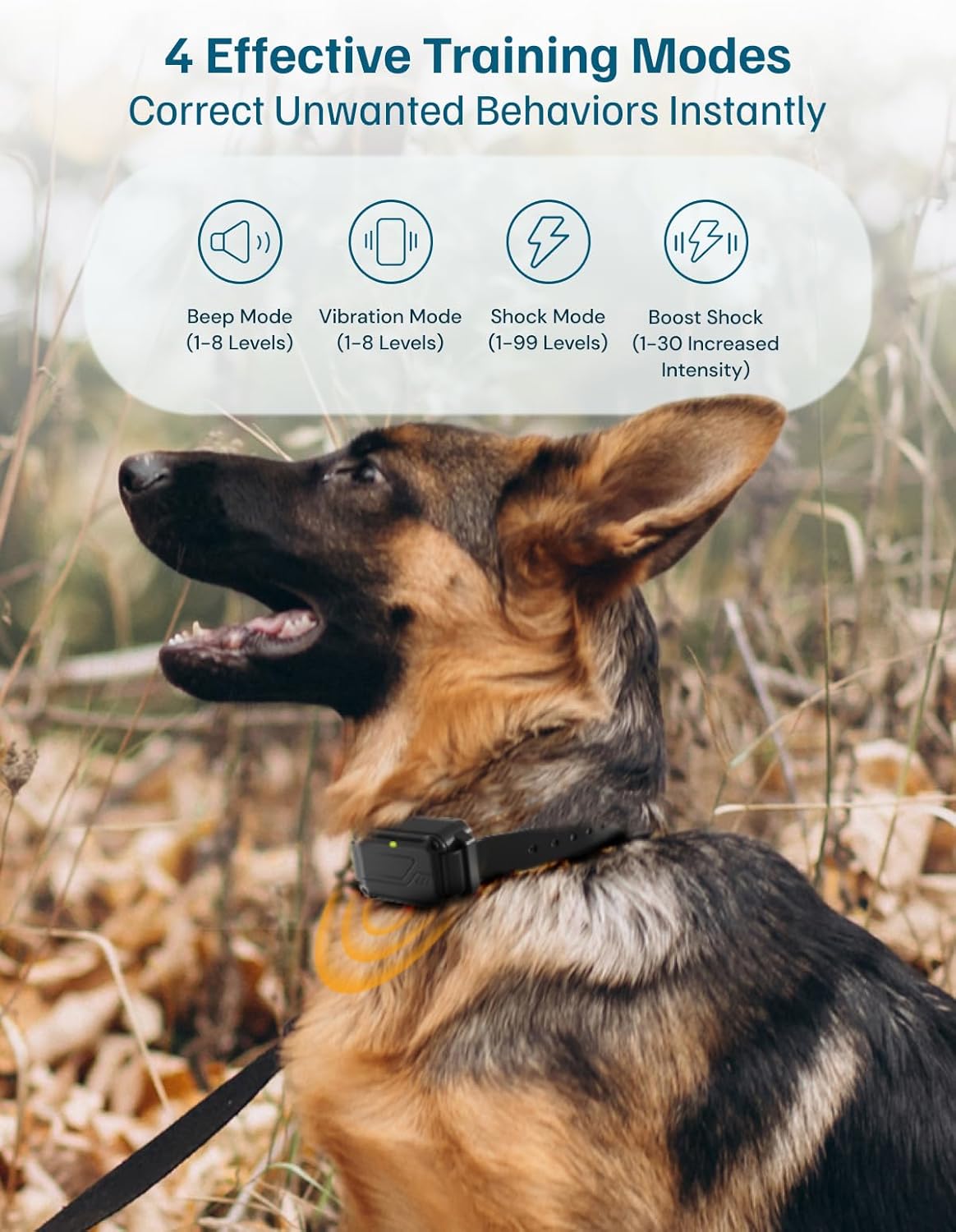 Dog wearing a training collar with four effective training modes displayed above at Pet Servo