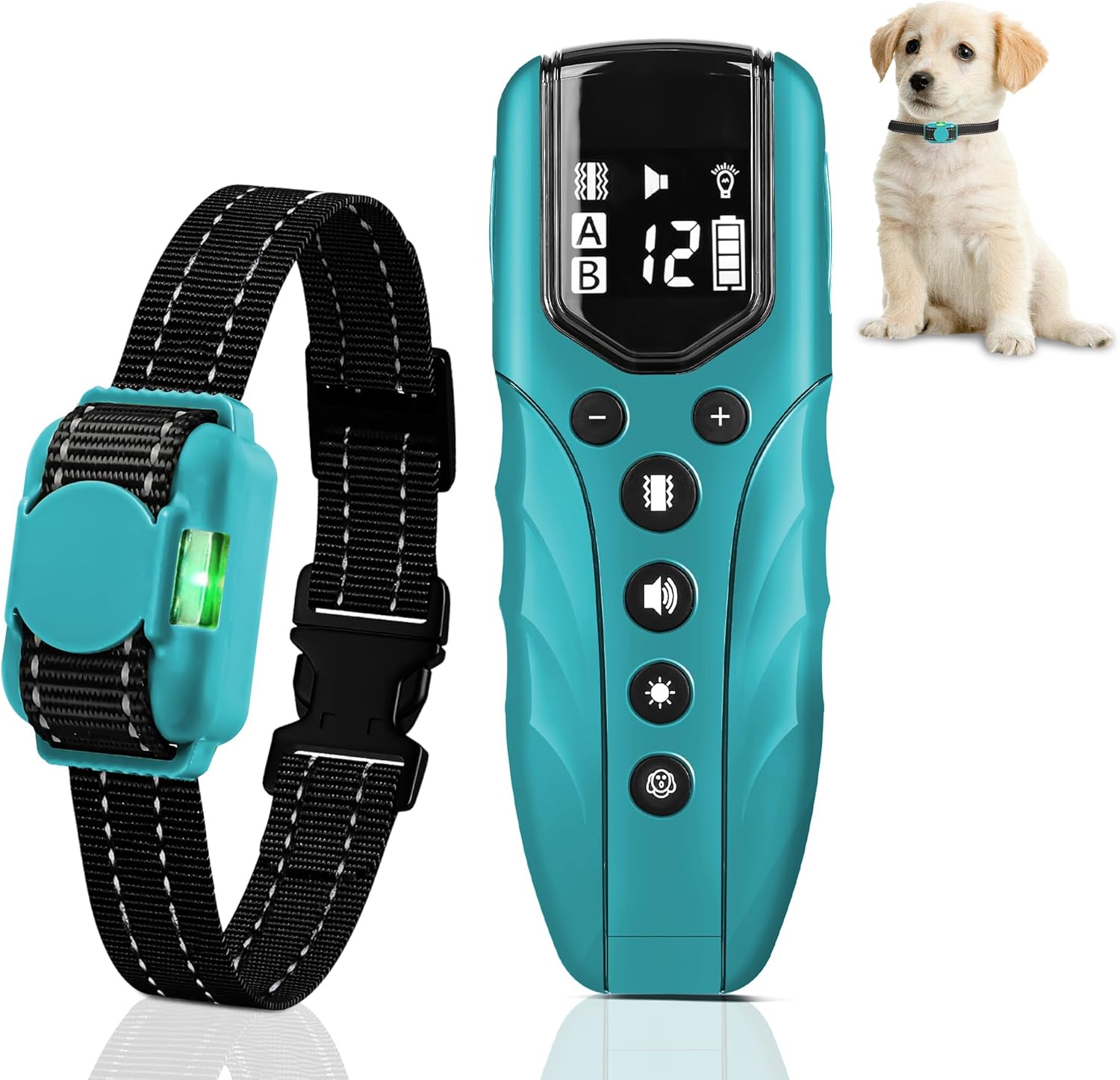 Teal electronic dog collar with remote control and a small dog on a white background at Pet Servo