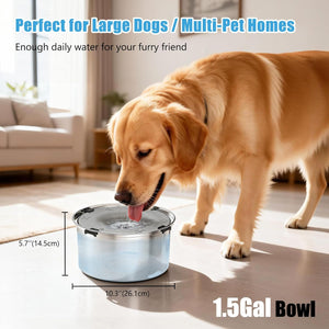 Dog drinking water from a large pet bowl in a home setting at Pet Servo