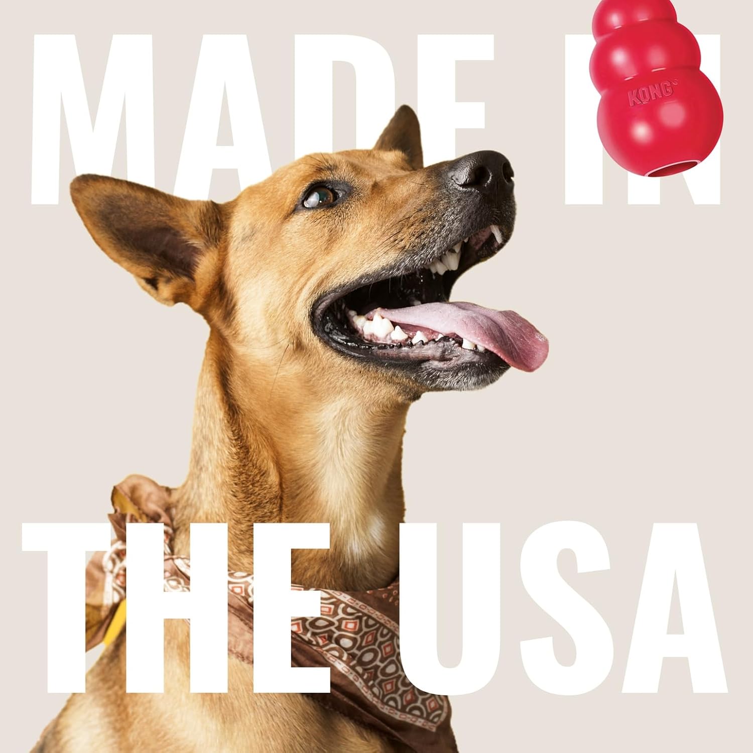 Dog with a red KONG toy and 'Made in the USA' text on a beige background at Pet Servo