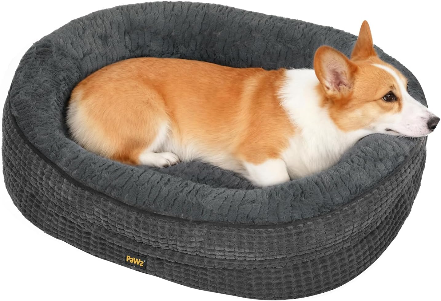Dog lying on a gray pet bed with 'Pawz' branding at Pet Servo