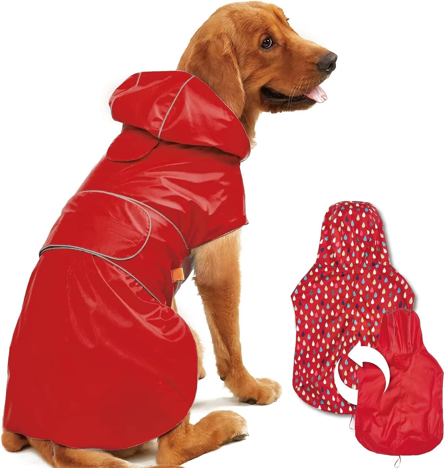Dog wearing a red raincoat with a matching bag on a white background at Pet Servo