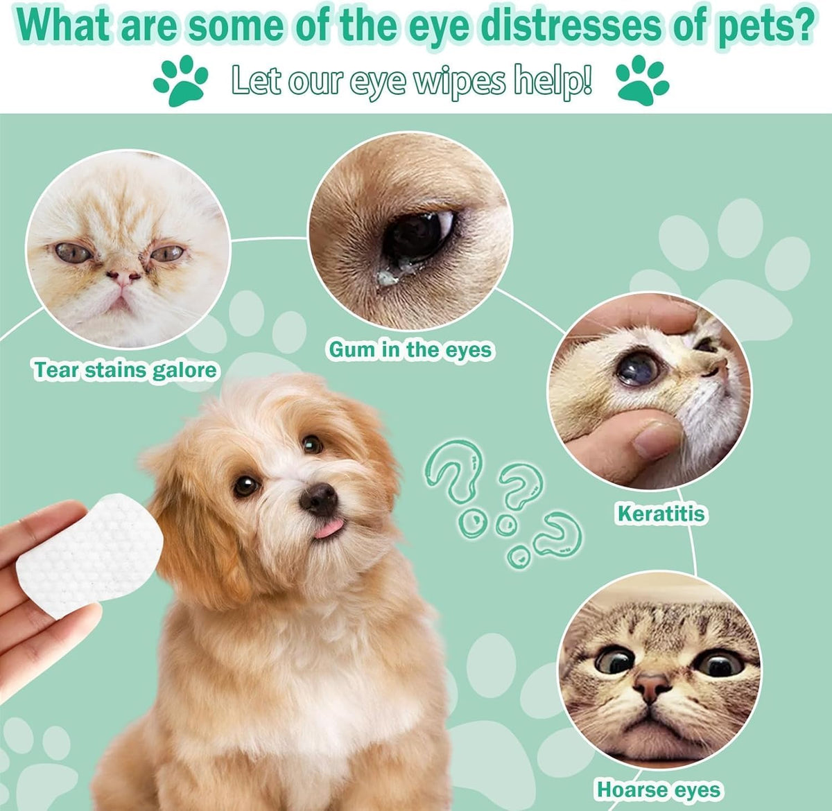 Pet eye care product advertisement with images of pets and text about eye distresses at Pet Servo