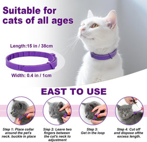 Purple cat collar with a white cat wearing it, suitable for cats of all ages at Pet Servo
