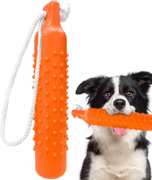 Dog holding an orange chew toy with a white background at Pet Servo