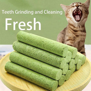Green catnip rolls with a yawning cat on a green background at Pet Servo