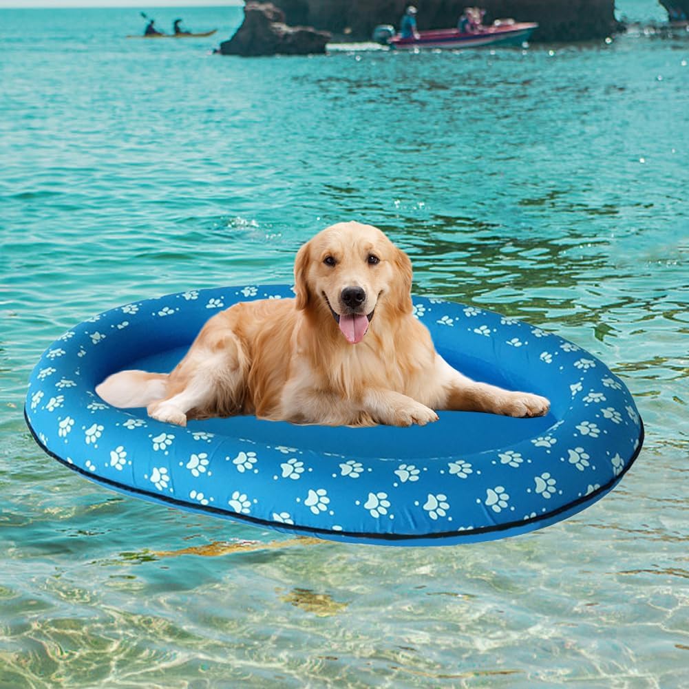 Dog on a blue inflatable ring with paw prints in clear blue water at Pet Servo