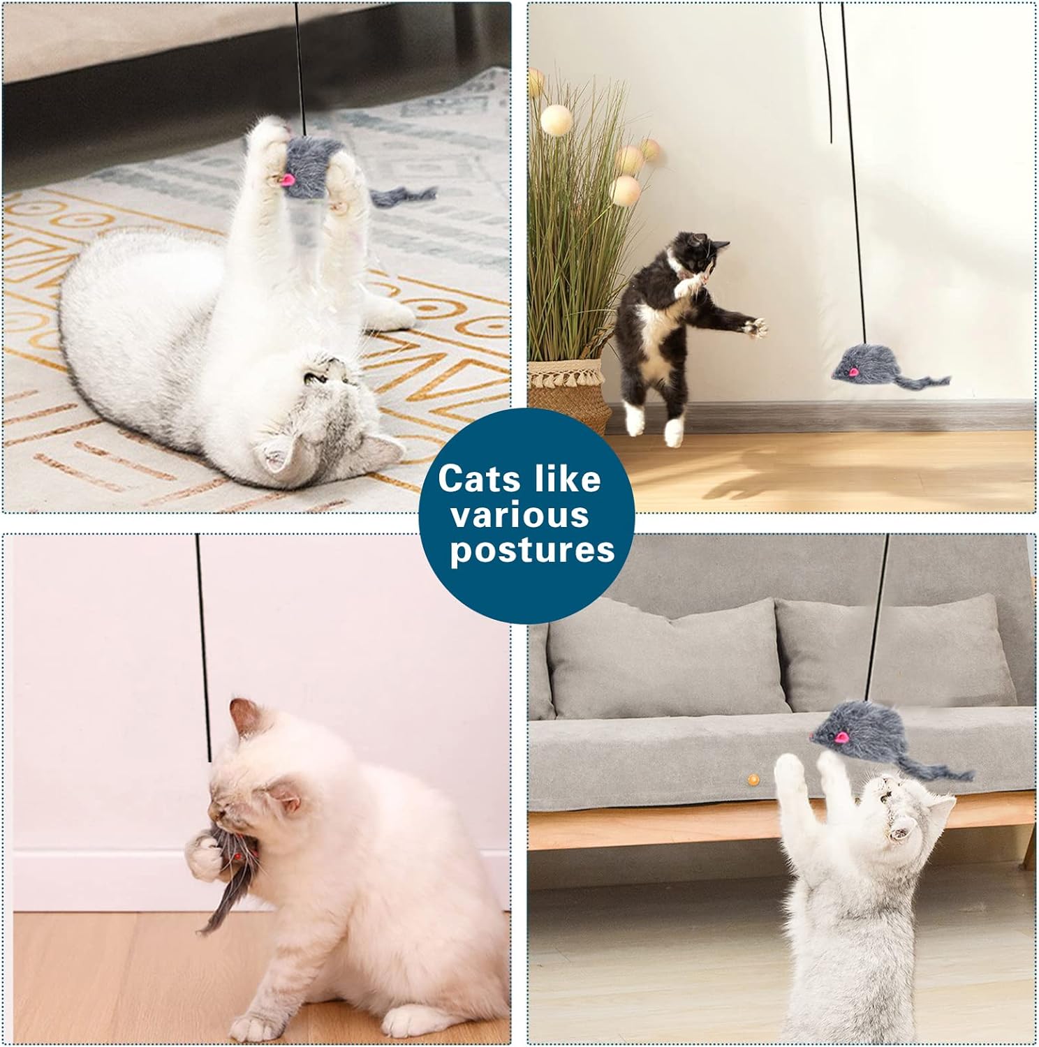 Collage of cats playing with a toy mouse in different postures at Pet Servo