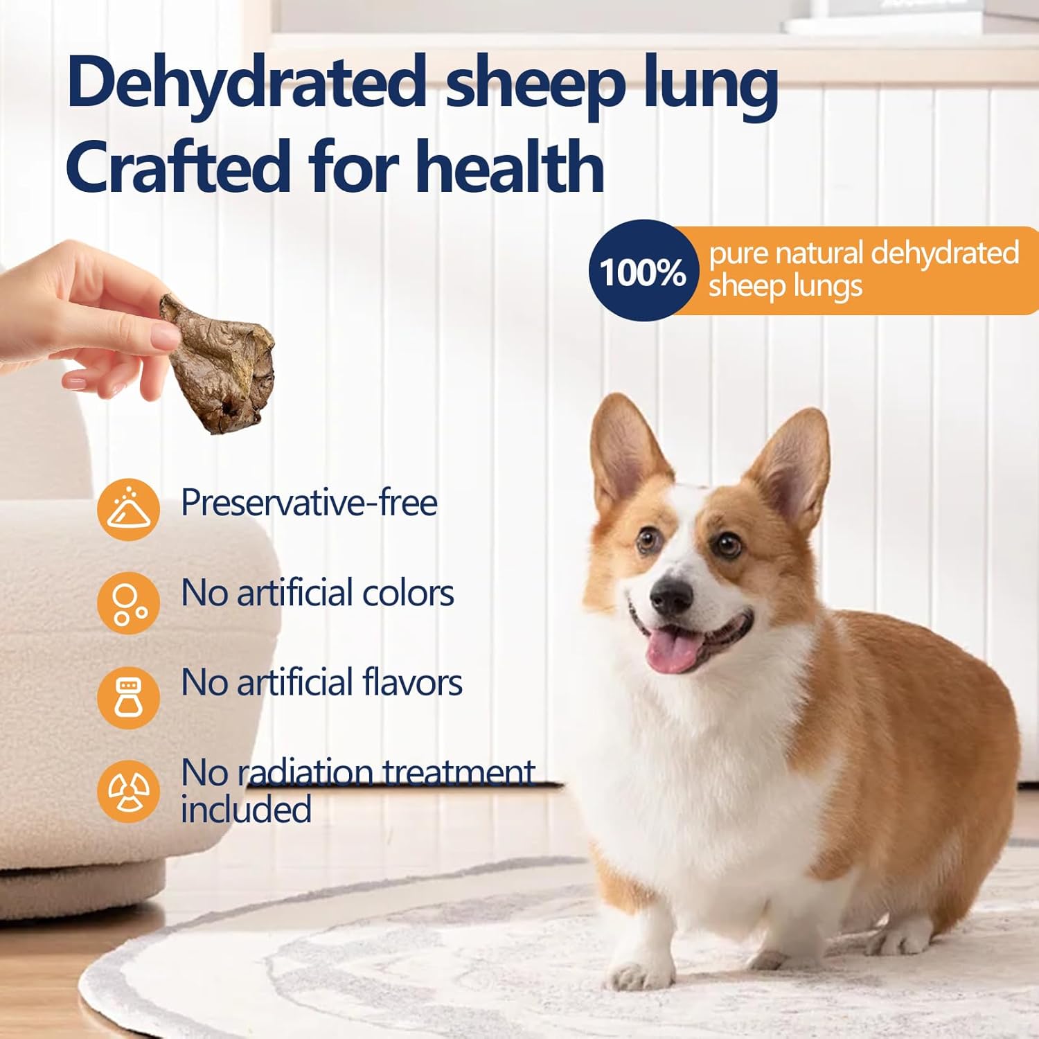 Dog sitting on a rug with a dehydrated sheep lung and text about health benefits at Pet Servo