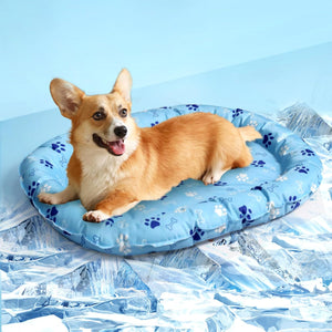 Dog lying on a blue pet bed with paw prints and bones design, surrounded by ice cubes at Pet Servo